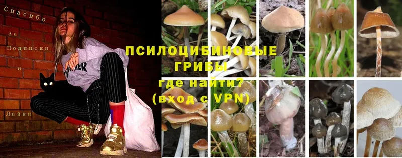 Галлюциногенные грибы Magic Shrooms  Дно 